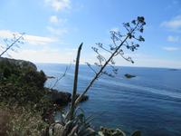Ibiza (8) &ndash; &copy; Francisco Javier Burgos Gutierrez (Eberhardt TRAVEL)