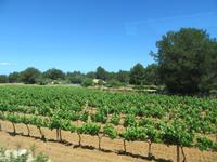 Formentera (27) &ndash; &copy; Francisco Javier Burgos Gutierrez (Eberhardt TRAVEL)