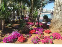 Santa Eulalia (2) &ndash; &copy; Francisco Javier Burgos Gutierrez (Eberhardt TRAVEL)