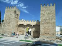 Alcudia (1) &ndash; &copy; Francisco Javier Burgos Gutierrez (Eberhardt TRAVEL)