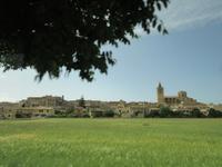 Palma de Mallorca (2) &ndash; &copy; Francisco Javier Burgos Gutierrez (Eberhardt TRAVEL)