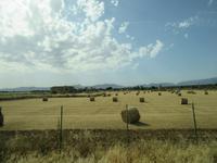Palma de Mallorca (4) &ndash; &copy; Francisco Javier Burgos Gutierrez (Eberhardt TRAVEL)