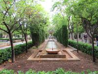 Palma (9) &ndash; &copy; Francisco Javier Burgos Gutierrez (Eberhardt TRAVEL)