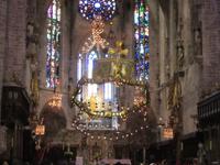 Palma (17) &ndash; &copy; Francisco Javier Burgos Gutierrez (Eberhardt TRAVEL)
