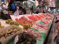 Palma (47) &ndash; &copy; Francisco Javier Burgos Gutierrez (Eberhardt TRAVEL)