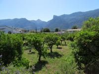 Eisenbahnfahrt nach Soller (16) &ndash; &copy; Francisco Javier Burgos Gutierrez (Eberhardt TRAVEL)