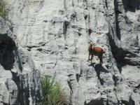 Sa Calobra (6) &ndash; &copy; Francisco Javier Burgos Gutierrez (Eberhardt TRAVEL)