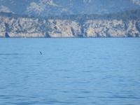 Fahrt nach Menorca (10) &ndash; &copy; Francisco Javier Burgos Gutierrez (Eberhardt TRAVEL)