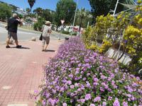 Cala Galdana (3) &ndash; &copy; Francisco Javier Burgos Gutierrez (Eberhardt TRAVEL)