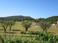 Hort Sant Patrici (6) &ndash; &copy; Francisco Javier Burgos Gutierrez (Eberhardt TRAVEL)