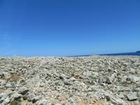 Cavalleria (5) &ndash; &copy; Francisco Javier Burgos Gutierrez (Eberhardt TRAVEL)