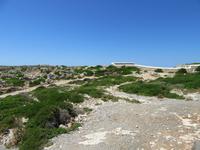 Cavalleria (8) &ndash; &copy; Francisco Javier Burgos Gutierrez (Eberhardt TRAVEL)