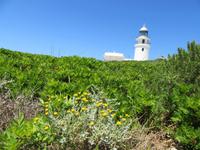Cavalleria (11) &ndash; &copy; Francisco Javier Burgos Gutierrez (Eberhardt TRAVEL)