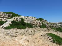 Cavalleria (20) &ndash; &copy; Francisco Javier Burgos Gutierrez (Eberhardt TRAVEL)