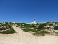 Cavalleria (21) &ndash; &copy; Francisco Javier Burgos Gutierrez (Eberhardt TRAVEL)