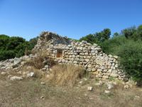 Torralba (14) &ndash; &copy; Francisco Javier Burgos Gutierrez (Eberhardt TRAVEL)