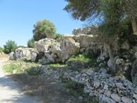 Torralba (21) &ndash; &copy; Francisco Javier Burgos Gutierrez (Eberhardt TRAVEL)