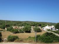 Torralba (22) &ndash; &copy; Francisco Javier Burgos Gutierrez (Eberhardt TRAVEL)