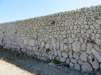Torralba (23) &ndash; &copy; Francisco Javier Burgos Gutierrez (Eberhardt TRAVEL)