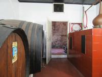 Gin Xoriguer (1) &ndash; &copy; Francisco Javier Burgos Gutierrez (Eberhardt TRAVEL)