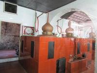 Gin Xoriguer (2) &ndash; &copy; Francisco Javier Burgos Gutierrez (Eberhardt TRAVEL)