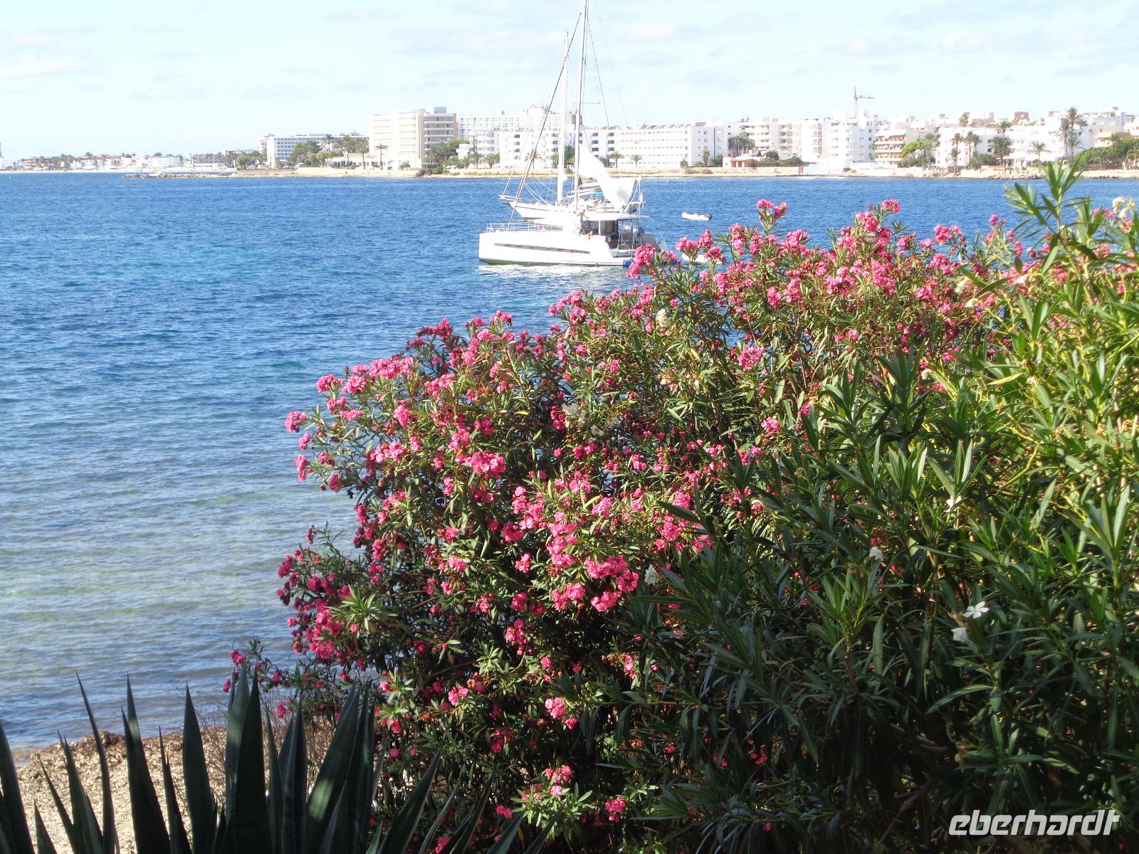 Ibiza &ndash; &copy; Barbara Mihut (Eberhardt TRAVEL)
