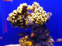 Palma Aquarium &ndash; &copy; Katrin Deutschbein (Eberhardt TRAVEL)