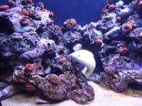 Palma Aquarium &ndash; &copy; Katrin Deutschbein (Eberhardt TRAVEL)