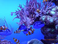 Palma Aquarium &ndash; &copy; Katrin Deutschbein (Eberhardt TRAVEL)