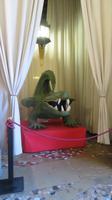 Puppen &ndash; &copy; Heike Meinhold (Eberhardt TRAVEL)