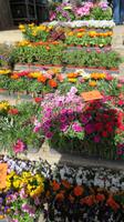 Wochenmarkt &ndash; &copy; Heike Meinhold (Eberhardt TRAVEL)