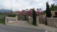 Alfabia &ndash; &copy; Heike Meinhold (Eberhardt TRAVEL)