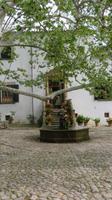 Alfabia &ndash; &copy; Heike Meinhold (Eberhardt TRAVEL)