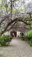 Gartenanlage &ndash; &copy; Heike Meinhold (Eberhardt TRAVEL)