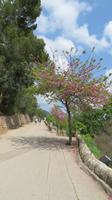 Erlebnisgut La Granja &ndash; &copy; Heike Meinhold (Eberhardt TRAVEL)