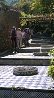 DSC_0624 im Garten &ndash; &copy; Kerstin Veit (Eberhardt TRAVEL)