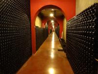 Weinverkostung in der Bodega 