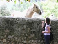 Ist der süß! &ndash; &copy; Fanny Grabowski (Eberhardt TRAVEL)