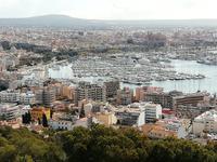 Blick auf Palma