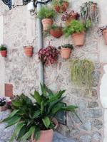 In Valldemossa &ndash; &copy; Martina Pötschke (Eberhardt TRAVEL)