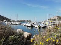 Port Andratx &ndash; &copy; Martina Pötschke (Eberhardt TRAVEL)