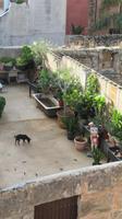 Alcúdia - Hinterhöfe &ndash; &copy; Elena Hinz (Eberhardt TRAVEL)