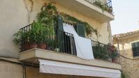 Alcúdia - grüne Balkone &ndash; &copy; Elena Hinz (Eberhardt TRAVEL)