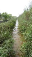 Naturschutzgebiet S'Albufera