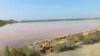 Salzfelderanlage Salines d'es Trenc &ndash; &copy; Elena Hinz (Eberhardt TRAVEL)