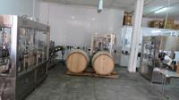 Bodegas Ángel &ndash; &copy; Elena Hinz (Eberhardt TRAVEL)