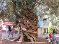 IMG_3305 &ndash; &copy; Kathrin Mickan (Eberhardt TRAVEL)
