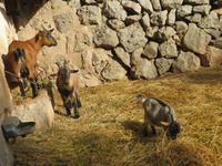 IMG_3319 &ndash; &copy; Kathrin Mickan (Eberhardt TRAVEL)