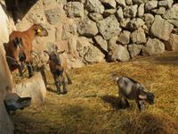 IMG_3320 &ndash; &copy; Kathrin Mickan (Eberhardt TRAVEL)