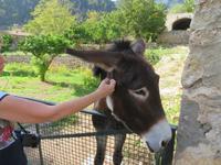 IMG_3489 &ndash; &copy; Kathrin Mickan (Eberhardt TRAVEL)